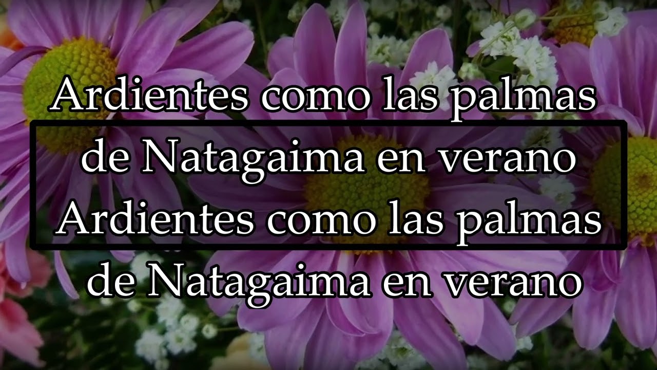 Vivirás mi Tolima   Silva Y Villalba   KARAOKE   LETRA