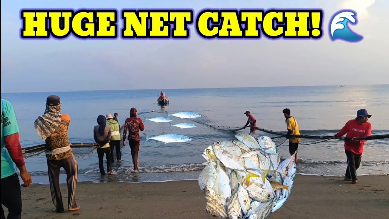 We Thought It Was a Normal Beach Pull… Then the Net Filled With Fish! 😱🐟
