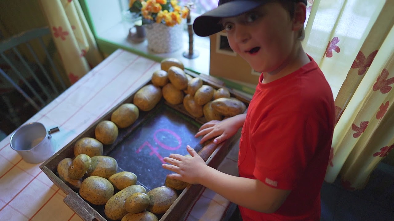 Sweden, Stockholm, Gröna Lund, a visit to Pettson and Findus home