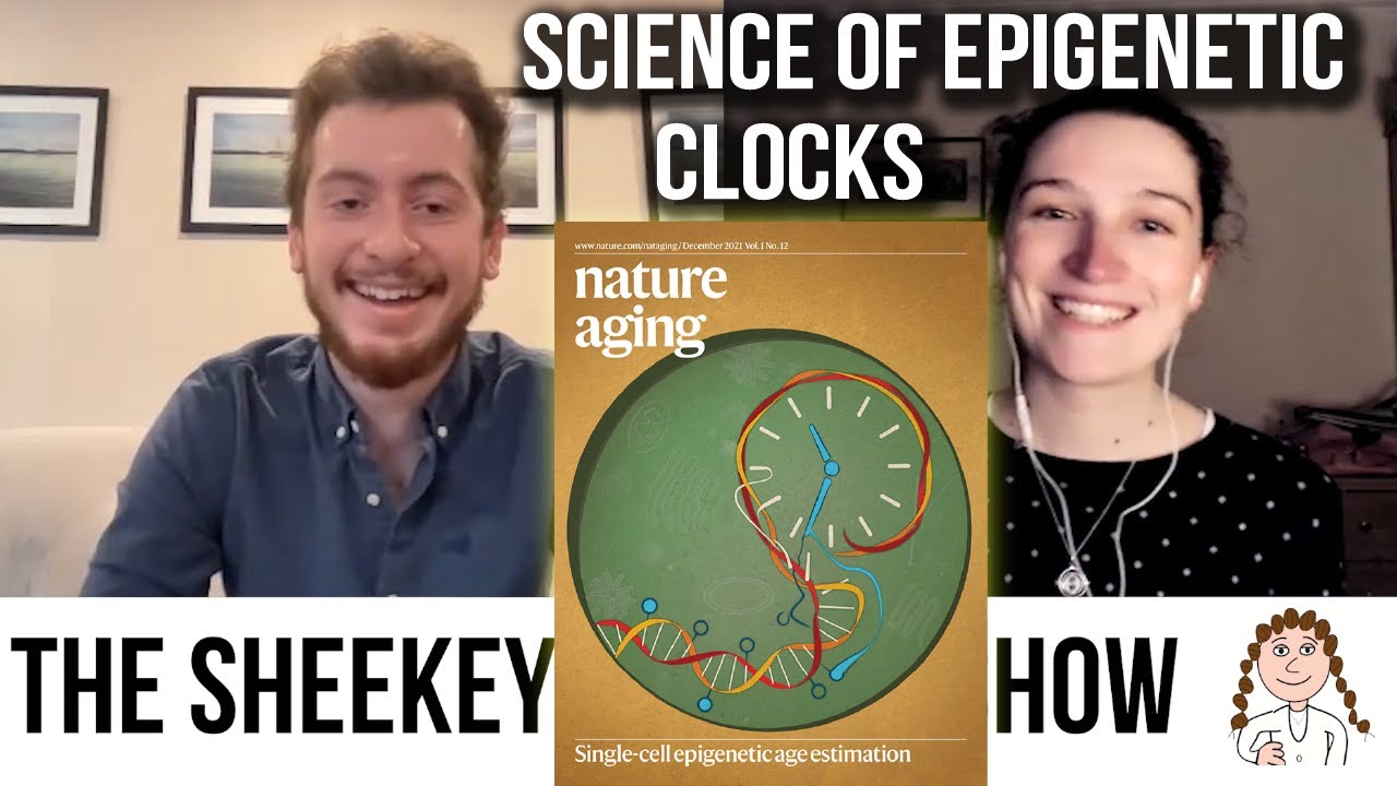 Single cell epigenetic clocks & applications - Alex Trapp