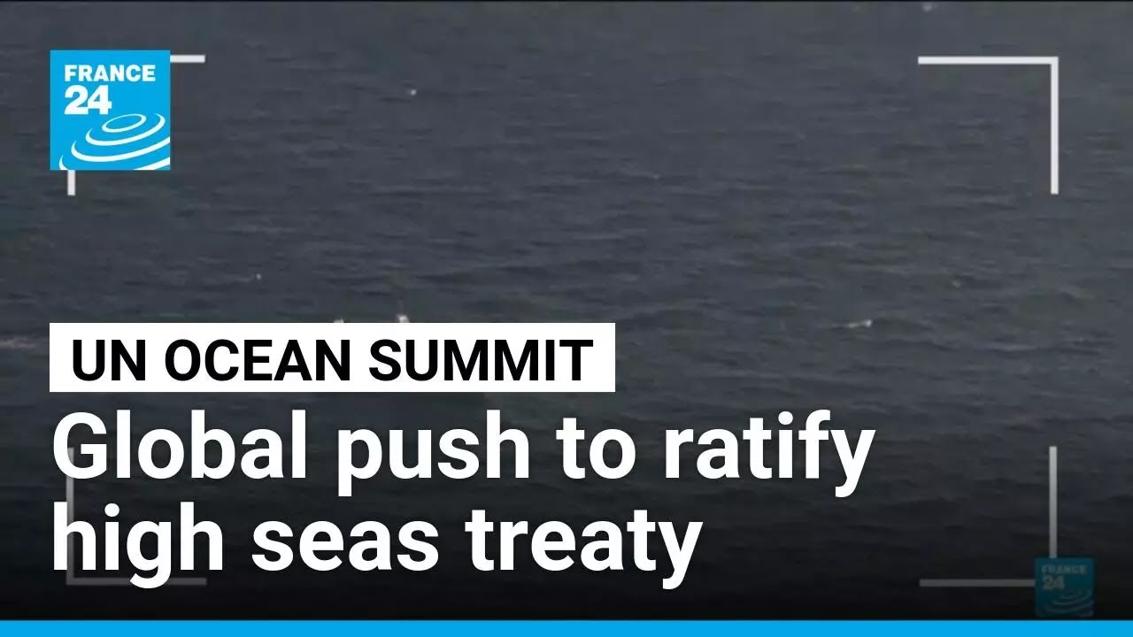 Global push to ratify high seas treaty covering two-thirds of our oceans &bull; FRANCE 24 English