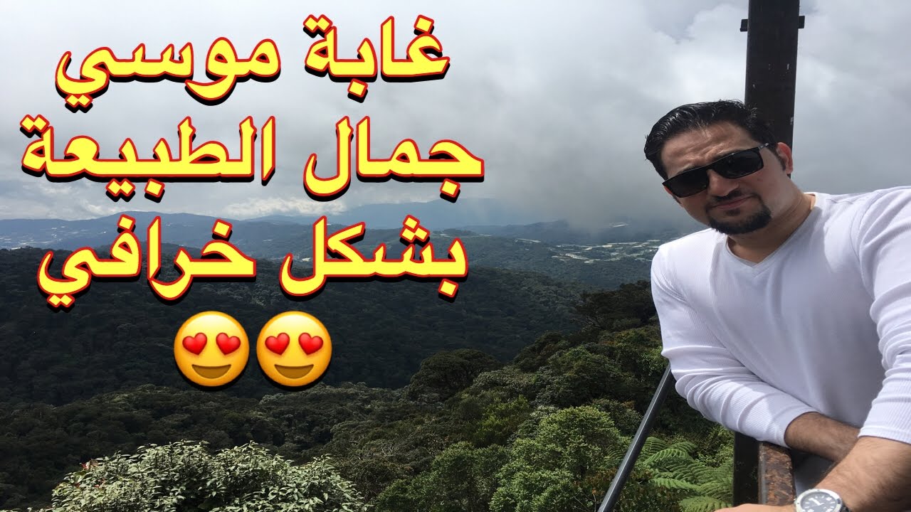 لاتفوتك زيارة غابة موسي الرائعة في كاميرون هايلاند ماليزيا