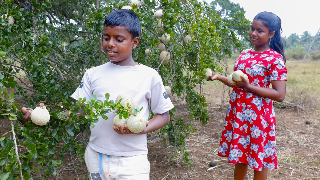 Homemade Wood Apple Cake & Fresh Coconut Juice | Village Kitchen Sri Lanka