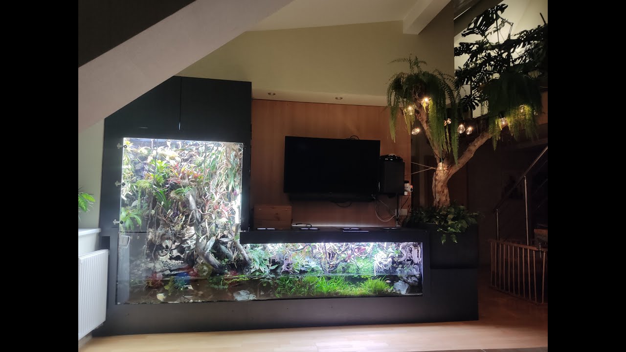 Huge L shape paludarium with phelsuma grandis, crabs, shrimps, fishes, artificial fog, rain, etc.