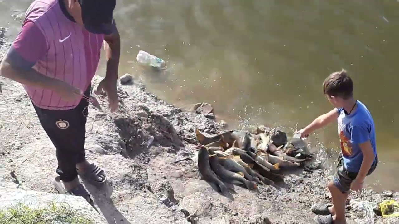 pesca en gorch!