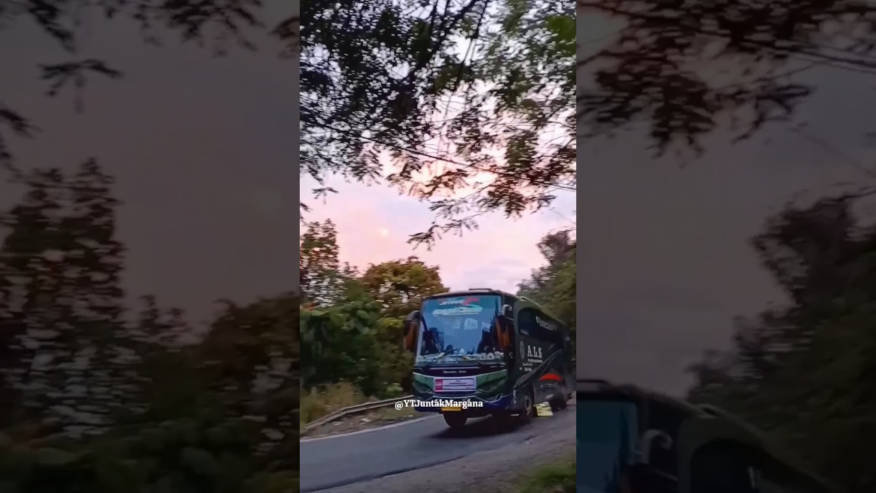 Pesona ALS 224 membawa rombongan #vlogger #shortvideo #busmania #als#antarlintassumatera