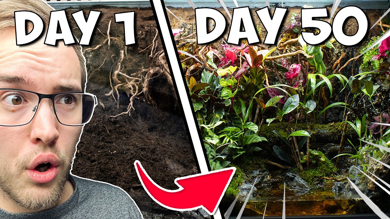 So Much Life In My Giant Ecosystem Vivarium