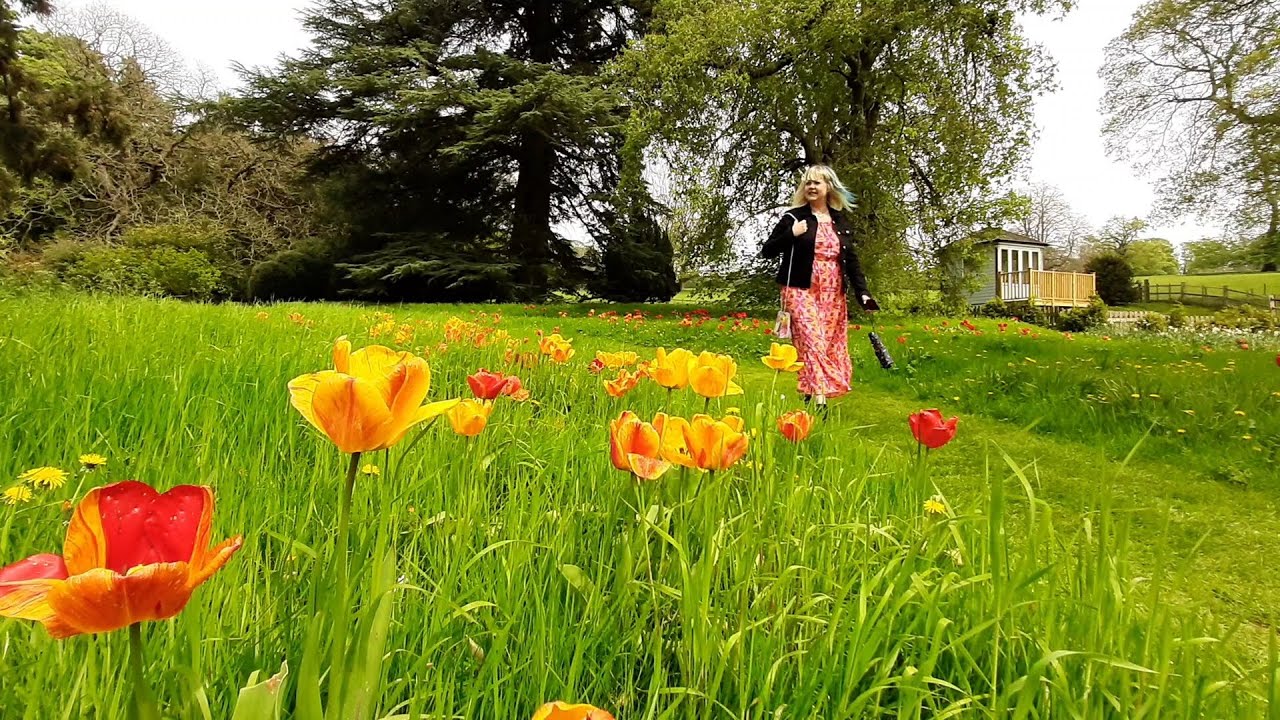 Easton Walled Garden ( Easton Lincolnshire )