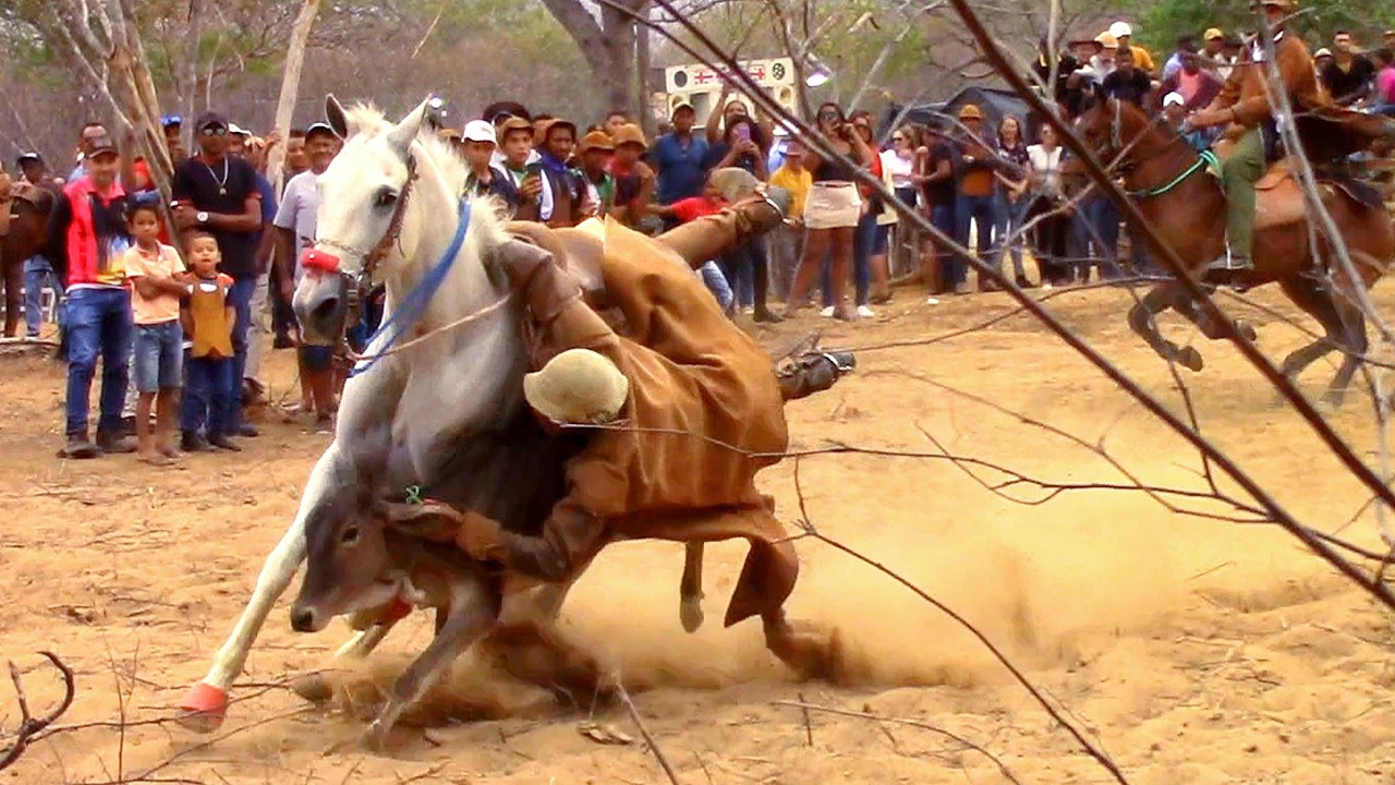 AQUI É DIFERENTE pega de boi no mato no parque Francisco Norberto #romariofeitosa #pegadeboinomato