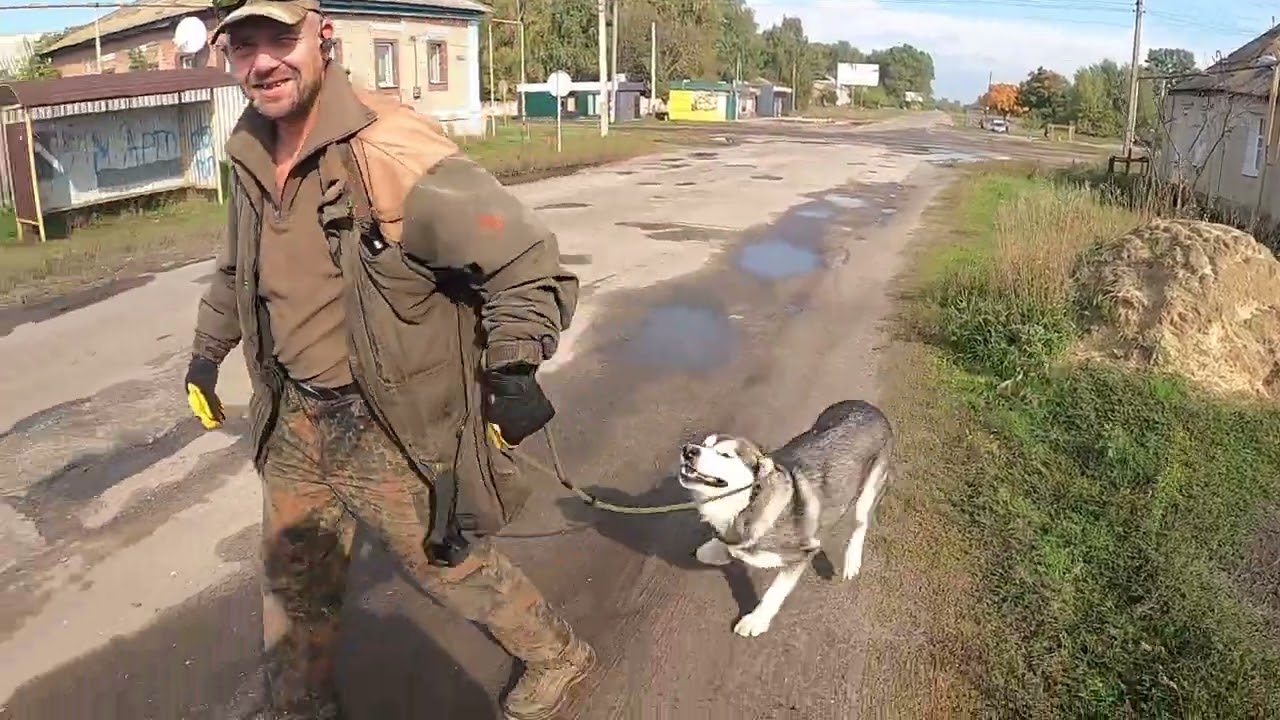 Ukraine Pet Rescue with Nick Tadd - Pets reunited with their owners