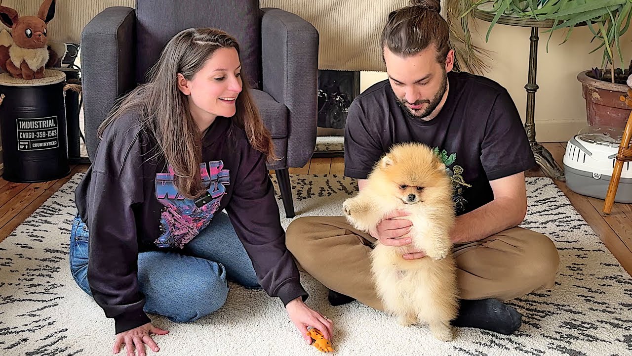 UN NOUVEAU B&Eacute;B&Eacute; POUR GUILLAUME ET KIM !