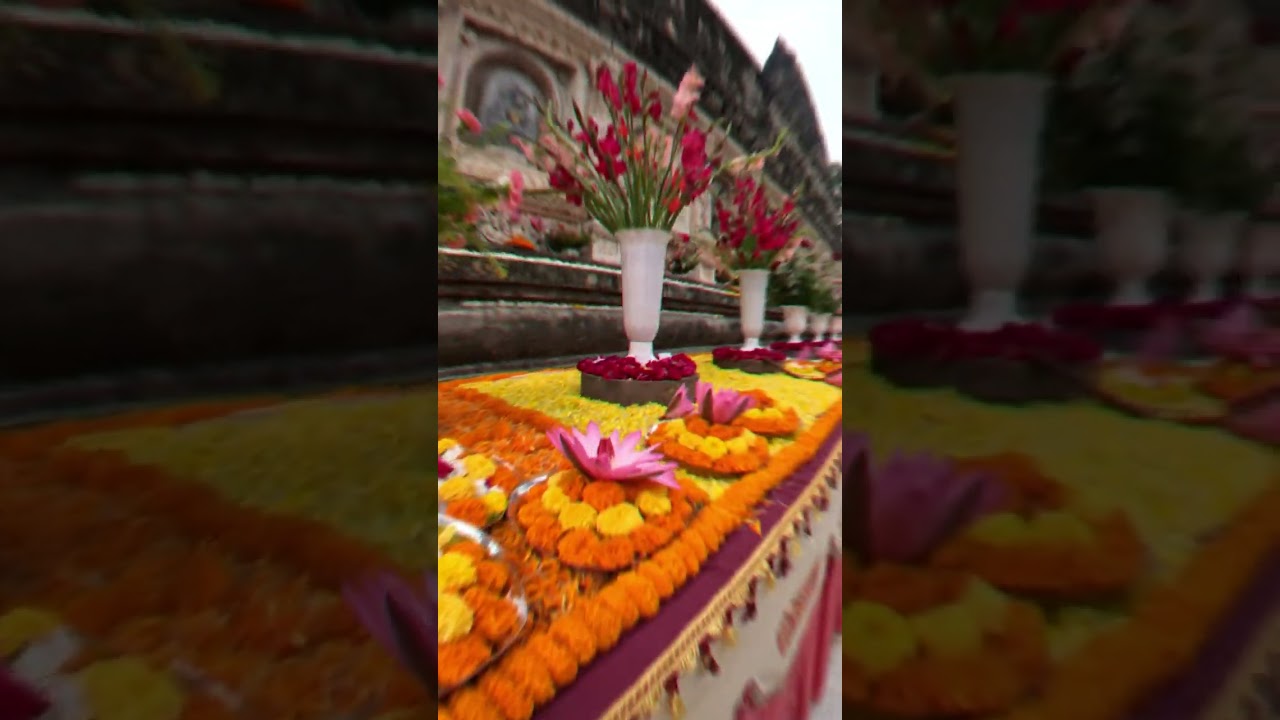 Namo Buddhaya 