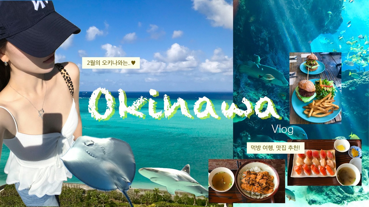 겨울에 만난 에메랄드 빛 바다 🏝️ 🐠 2월 오키나와  vlog. | 하얏트 리젠시 세라가키 | 국제거리 | 아메리칸 빌리지 | 추라우미 수족관 | 아시비나 아울렛