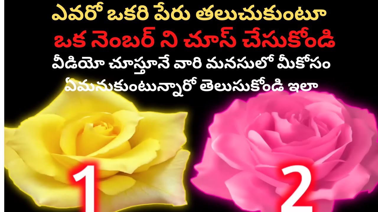 ఎవరో ఒకరి పేరు తలుచుకుంటూఒక నెంబర్ ని చూస్ చేసుకోండివీడియో చూస్తూనే వారి మనసులో మీకోసం