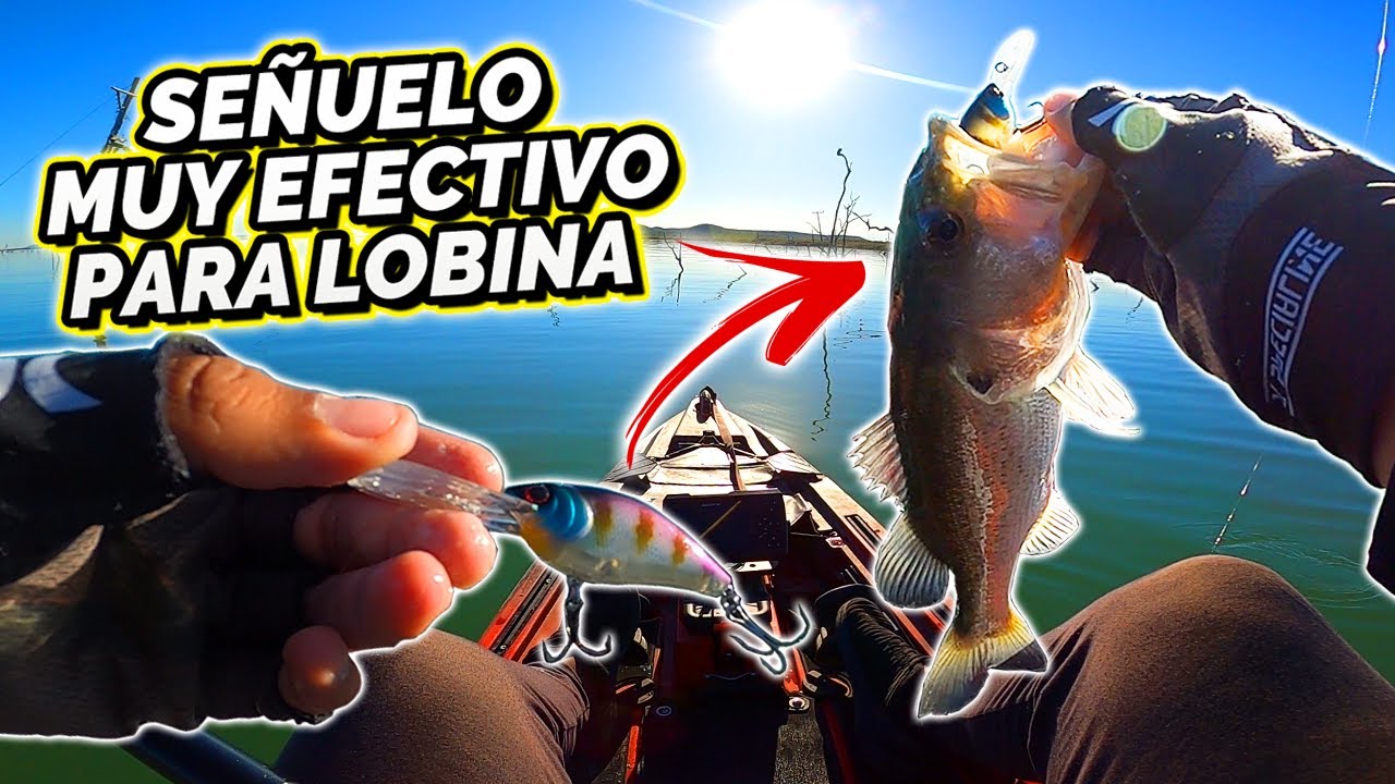 ESTE SEÑUELO es MUY EFECTIVO para PESCAR LOBINAS (Muchas Capturas)