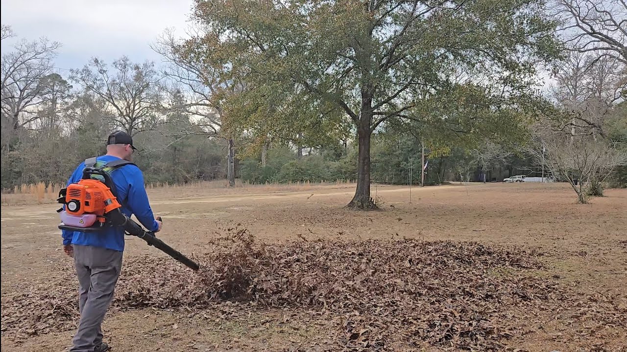 Neotec 52cc Backpack Blower!!! Get one!!!!