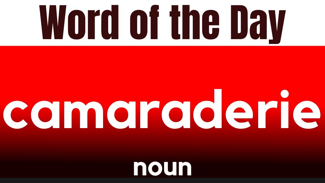 Word of the Day - CAMARADERIE. What does CAMARADERIE mean?