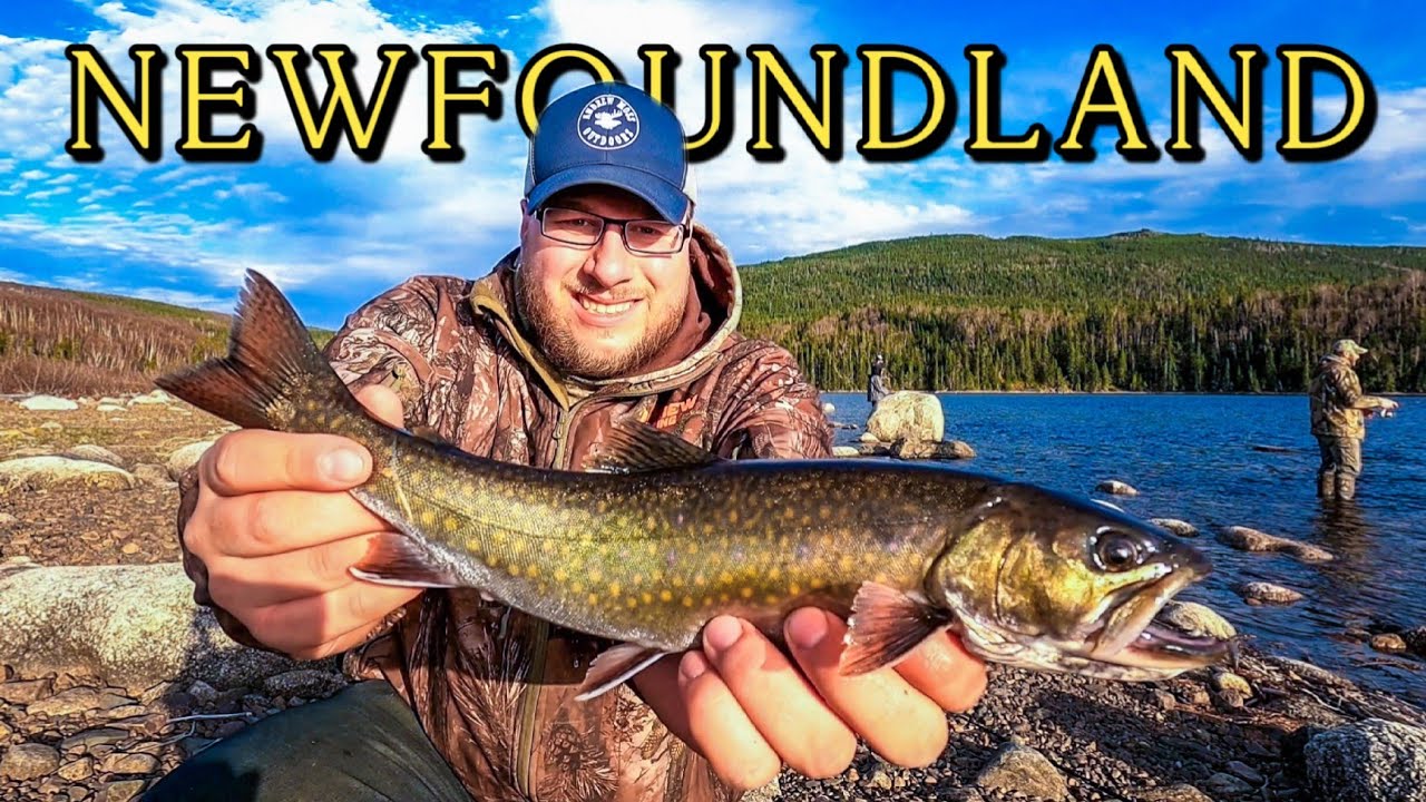 Catching BIG Brook Trout on OPENING DAY! (2025 - Newfoundland)