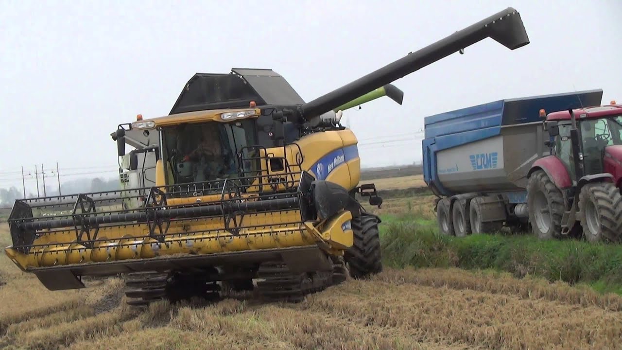 Mietitura Riso 2013. Claas Lexion 760, R660 e New Holland CX8040, Rice 6,1 m. (Stage IIIB)