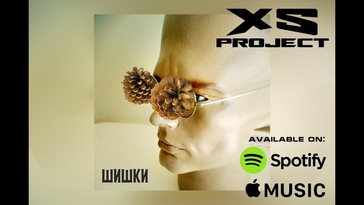 XS Project - Shishki