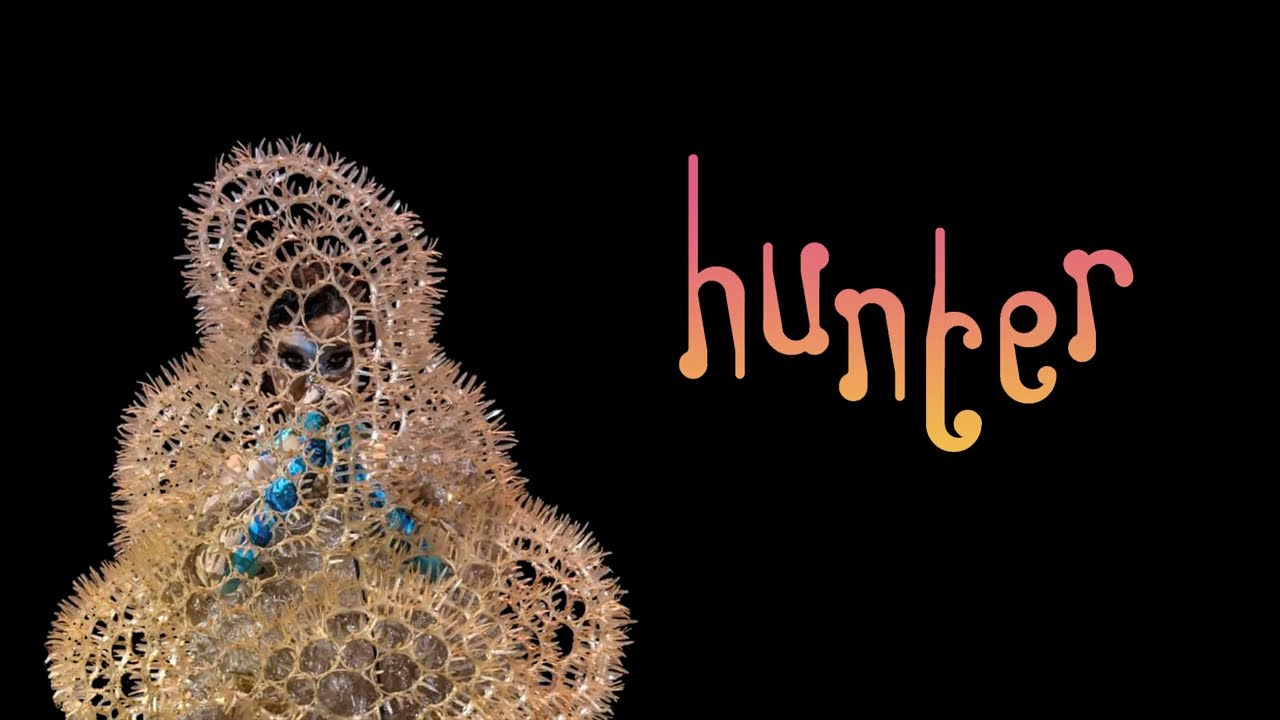 björk - hunter (orkestral instrumental cover)