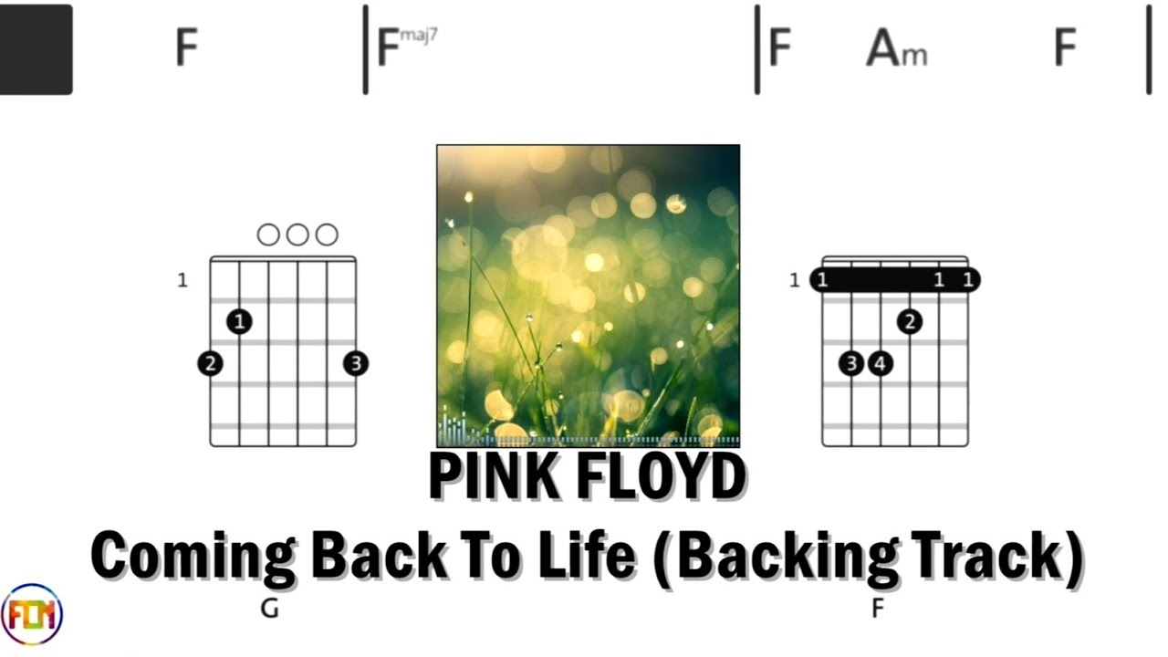 PINK FLOYD Coming Back To Life • Backing Track | Scrolling Guitar Chords & LyricsS