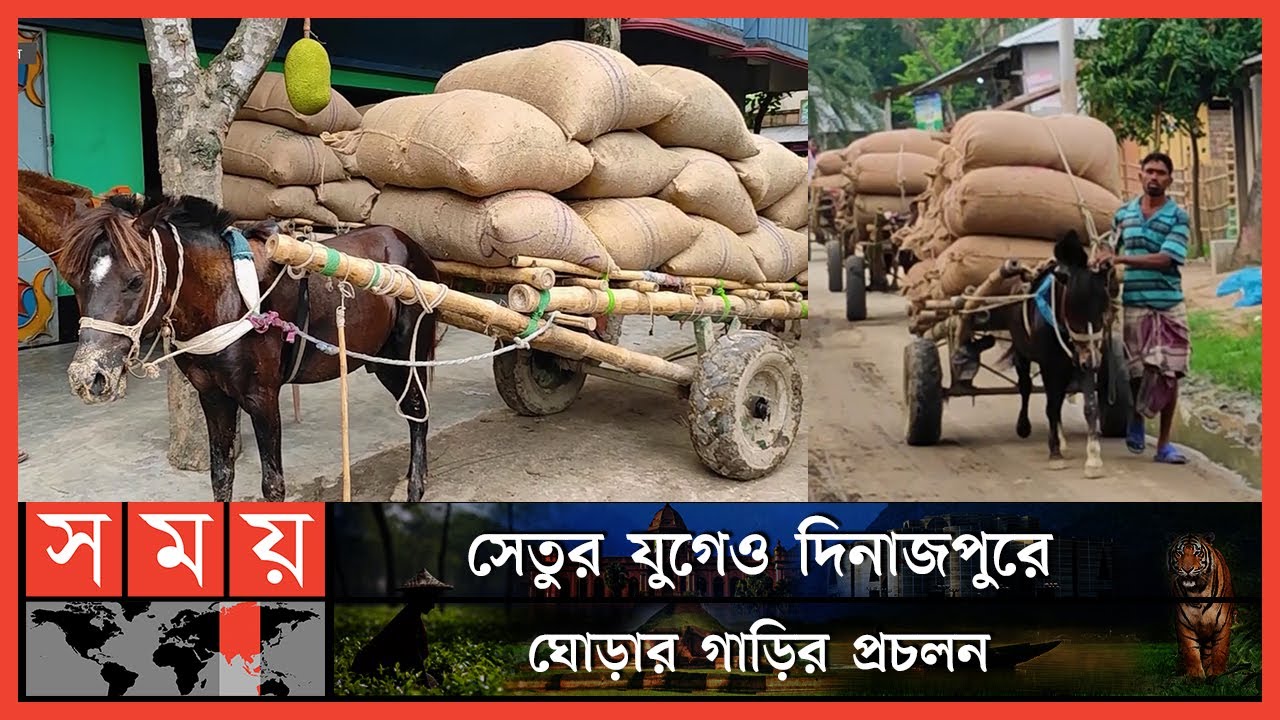 ঘোড়ার গাড়ি চালিয়ে আয়-রোজগার | Hili Horsecar | Dinajpur News | National News | Somoy TV