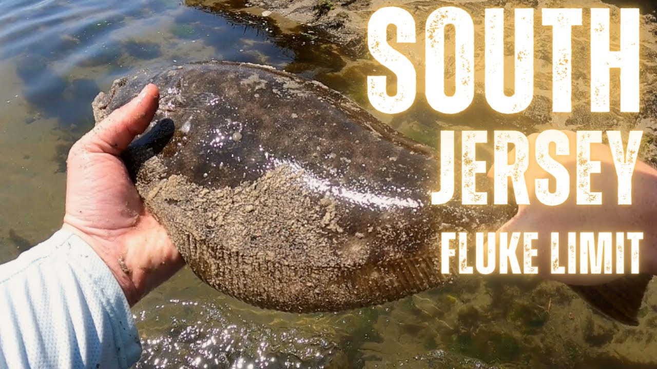 New Jersey Fluke Limit From Shore