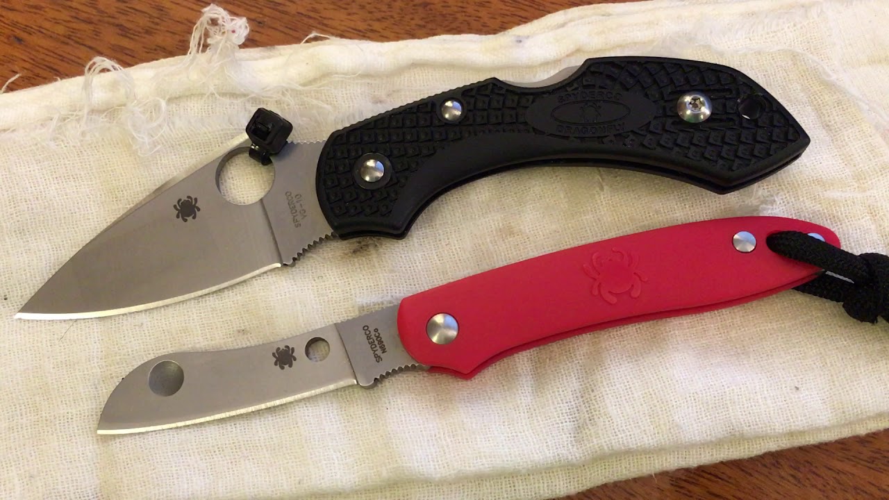 Spyderco Roadie