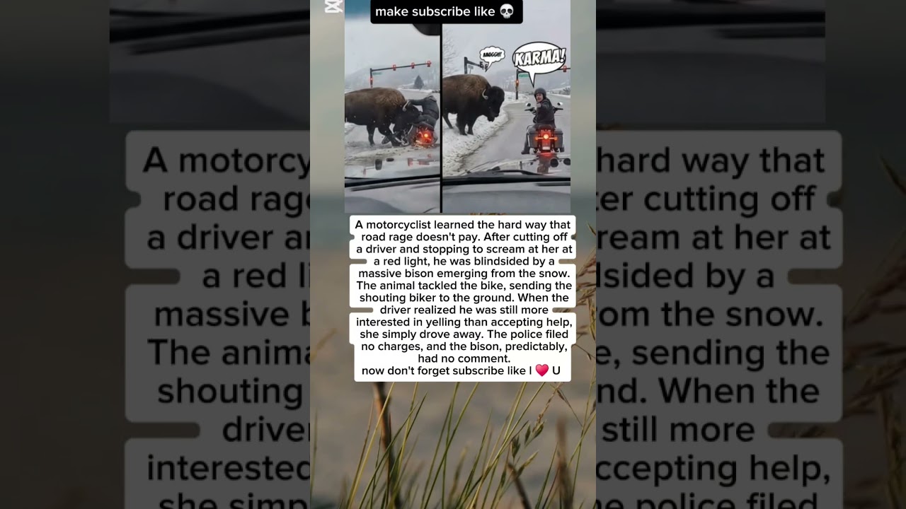 Instant Karma: Biker vs. Bison! 🦬🏍️