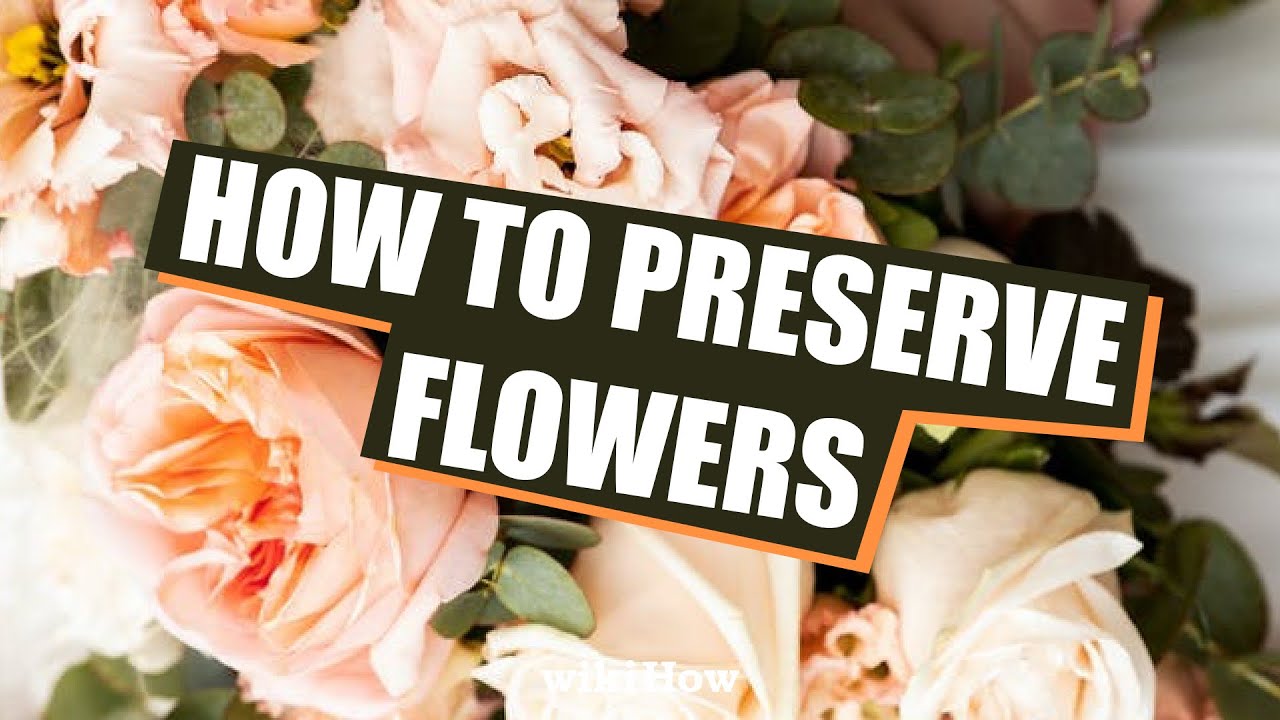 Learn How to Preserve Flowers 💐 🌹 🌻 #shorts