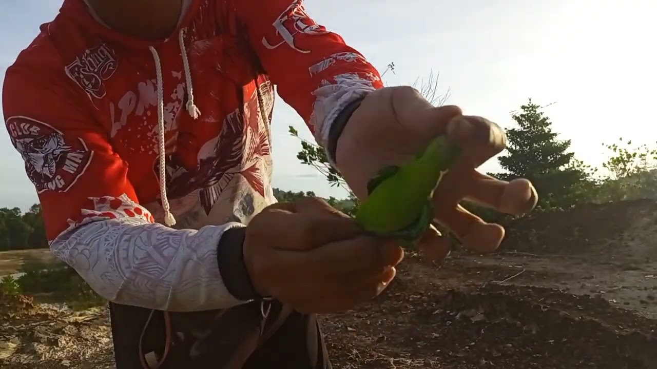 Mikat serindit guna pemikat baru tompinai.