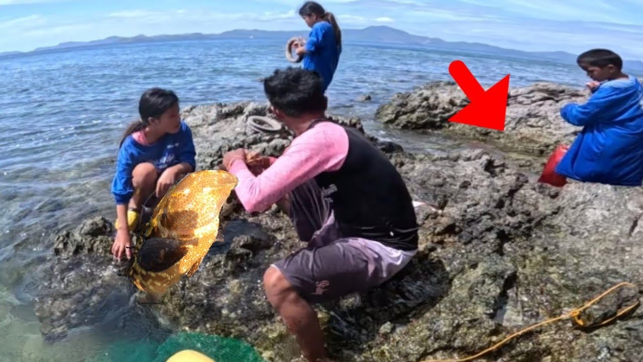 Nagulat Ako Ang Daming Mamahaling Isda sa batuhan, (Catch & cook & Sale)