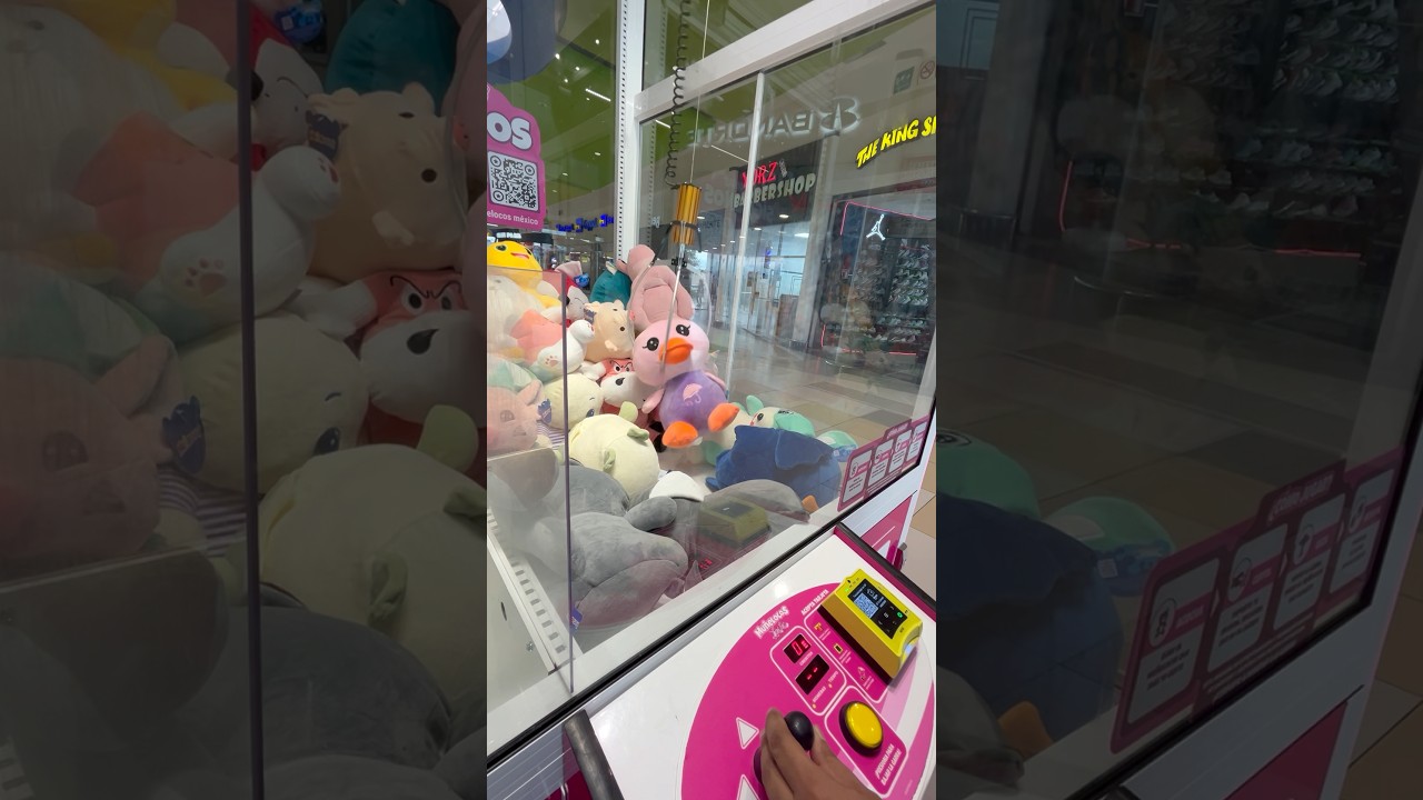 Cazando peluches