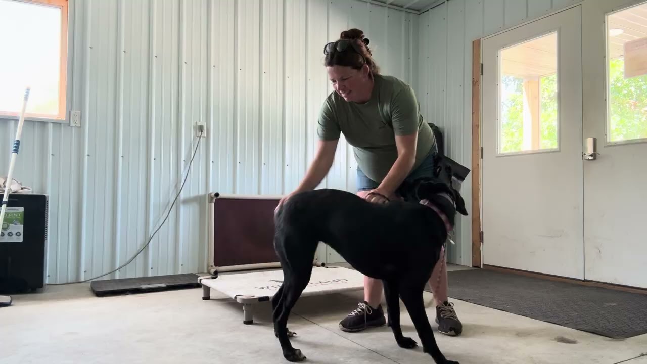 Zoey 7/22
