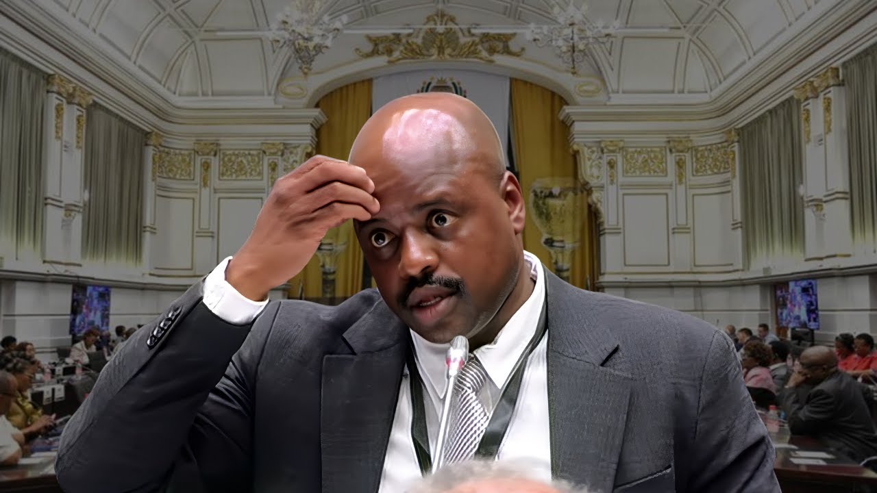 Julius Mkhwanazi Appears before the Ad Hoc committee