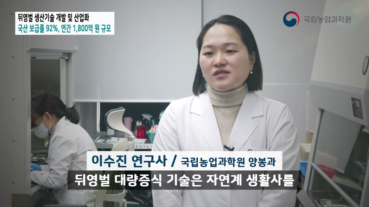 K-뒤영벌 생산기술 개발 및 산업화, 세계시장도 겨냥