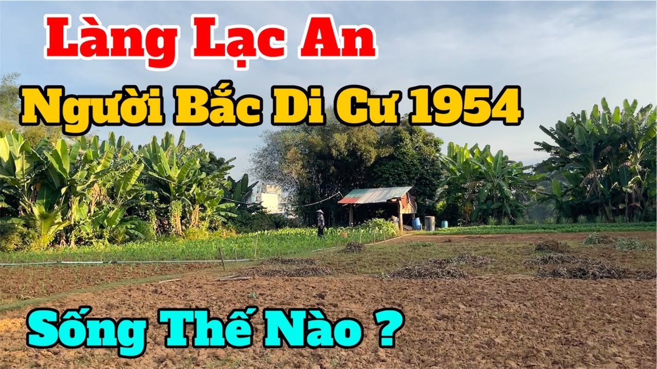 Làng Lạc An Người Bắc Di Cư 1954, Bây Giờ Ra Sao?