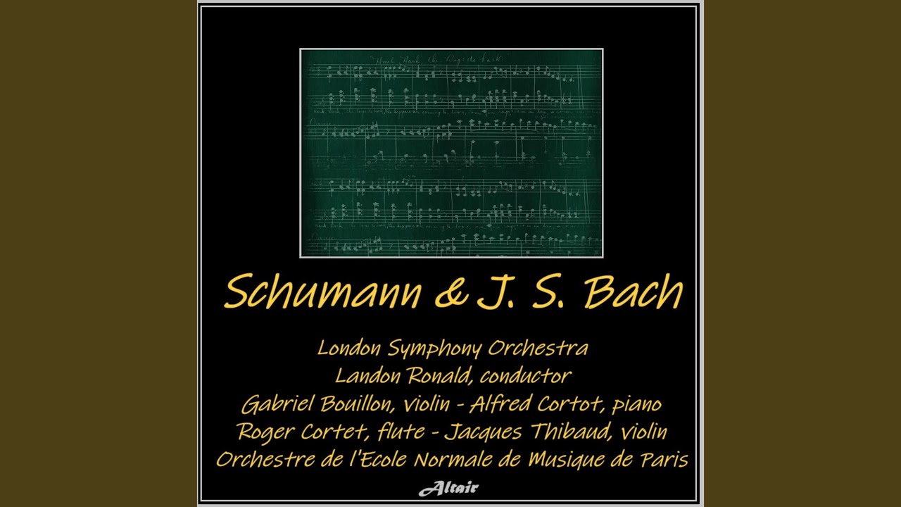Brandenburg Concerto NO.1 in F Major, BWV 1046: II. Adagio