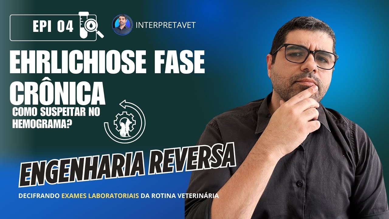 Saiba suspeitar de EHRLICHIOSE CRÔNICA pelo hemograma de cães.