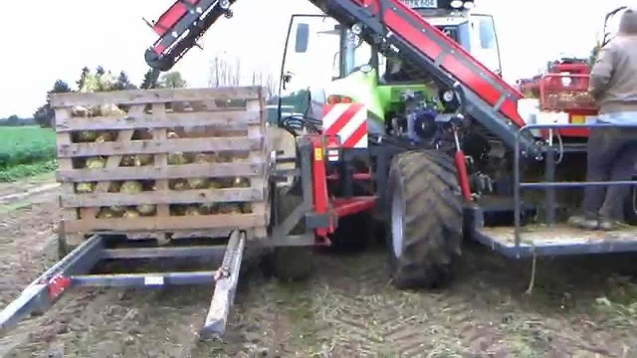 Knolselderrooier - Arracheuse de céleris-rave - Turnip celery harvester