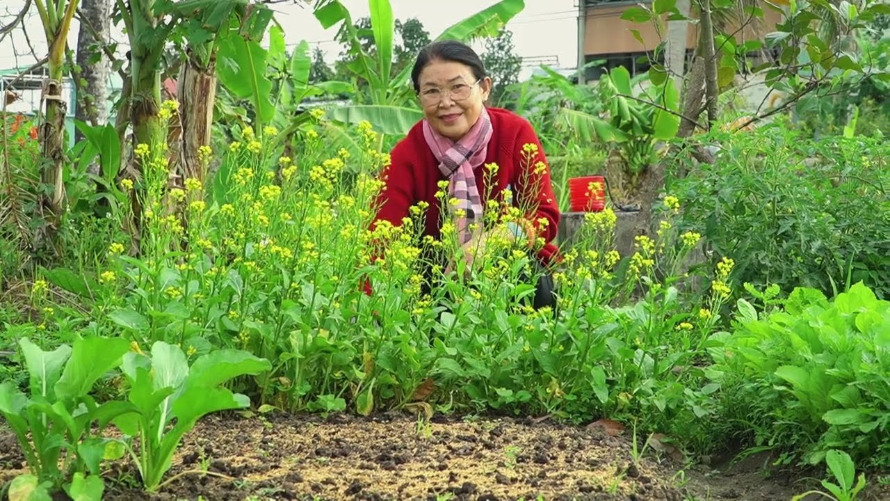 Cô Tám Nấu Cháo Bò rồi về nhà Cũ