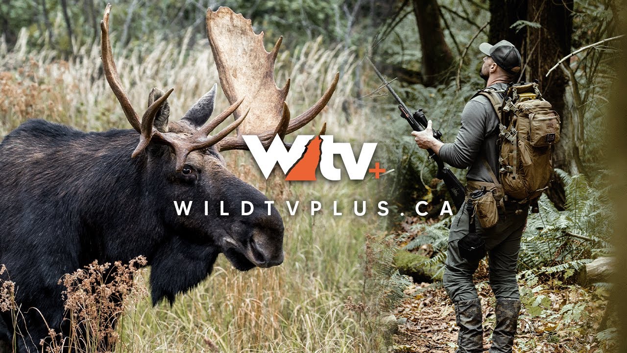 Bigger Badder Better - Wild TV Canada App