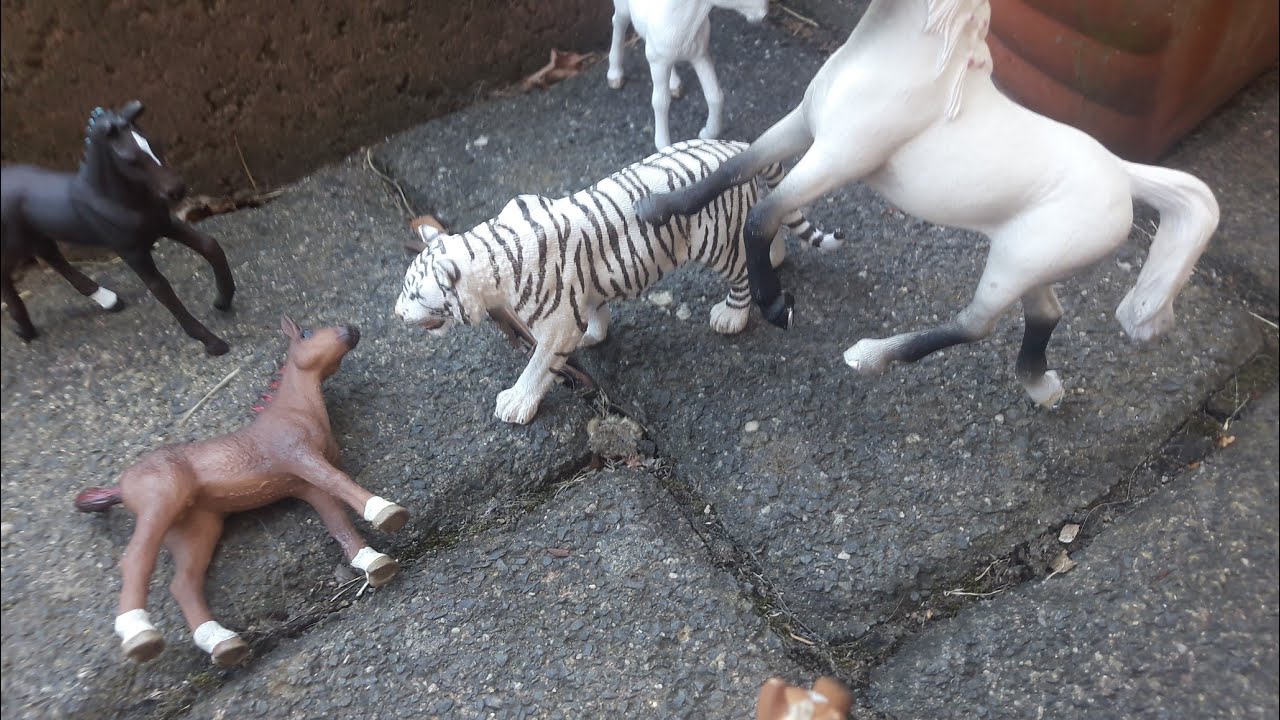 Die Horse Club Fohlen  #2