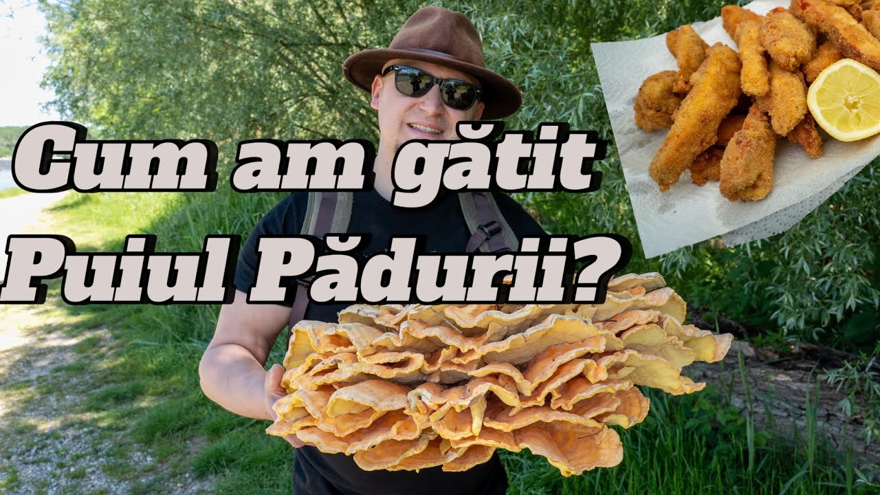 Cum am gătit puiul pădurii?