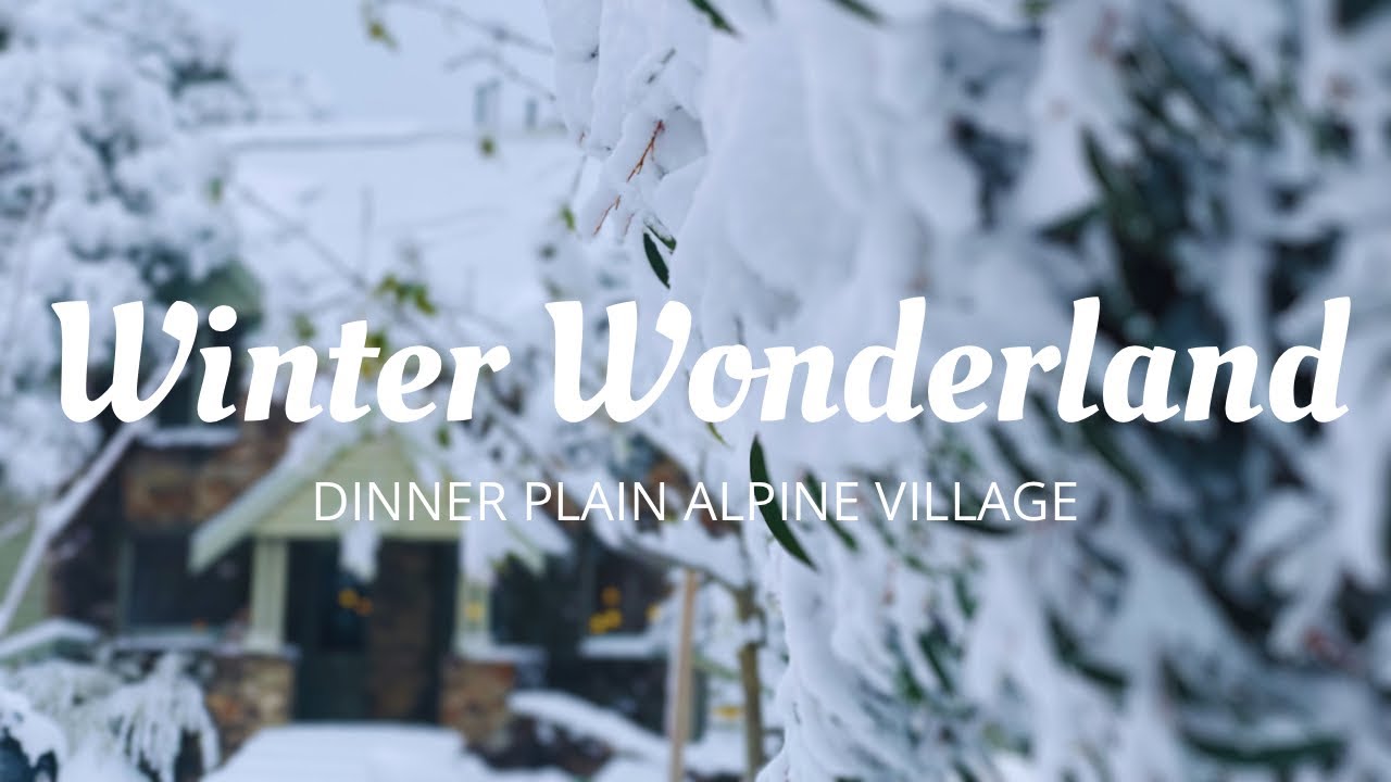 Snow Walk After Snowstorm: Dinner Plain Alpine Village, Mt Hotham Victoria ❄️ Snow Australia ❄️