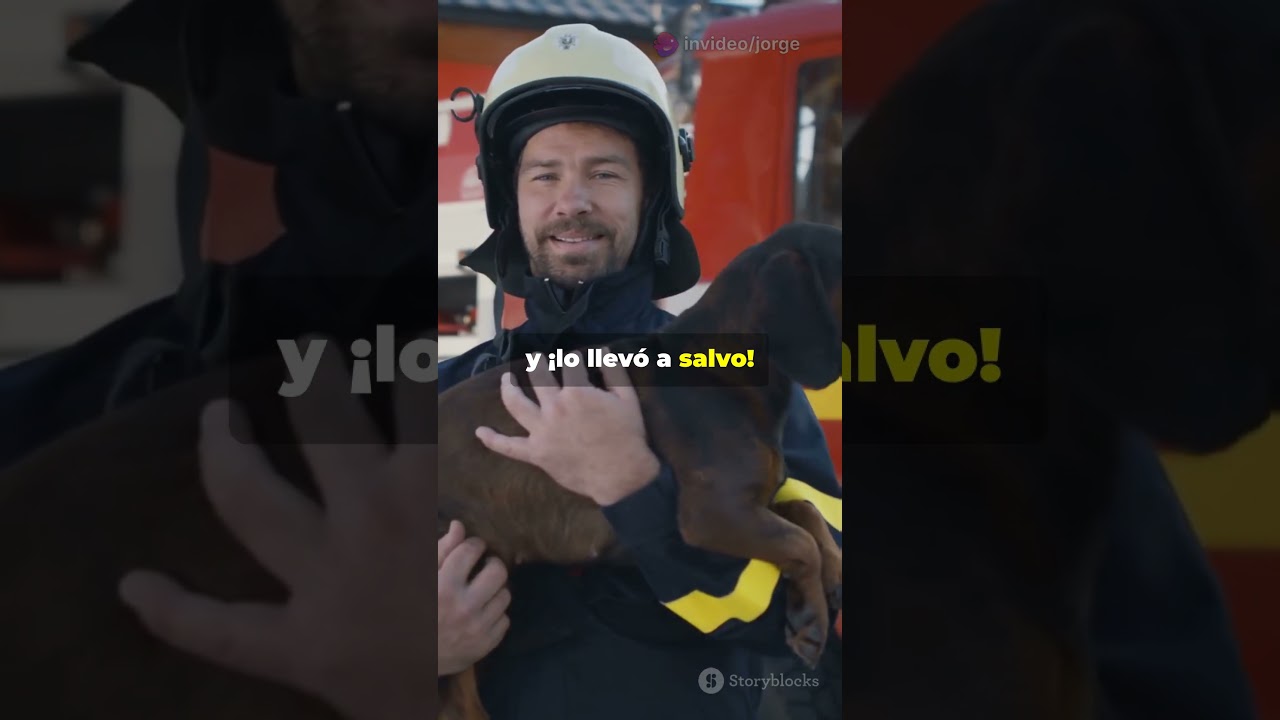 ¡Este perro es un héroe! Salvó a su dueño del fuego 🔥🐶 