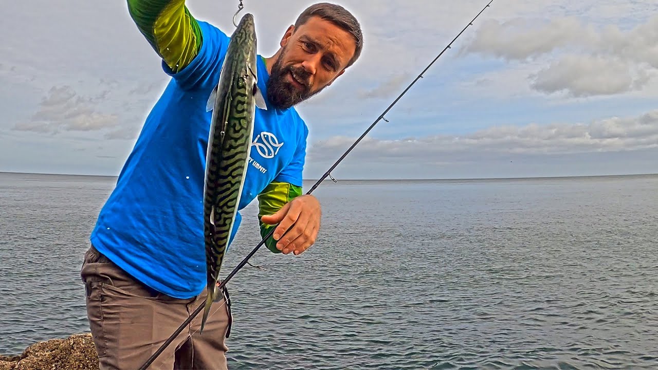 LRF Mackerel | Ловля минтая на приманку | Дельфины | LRF UK