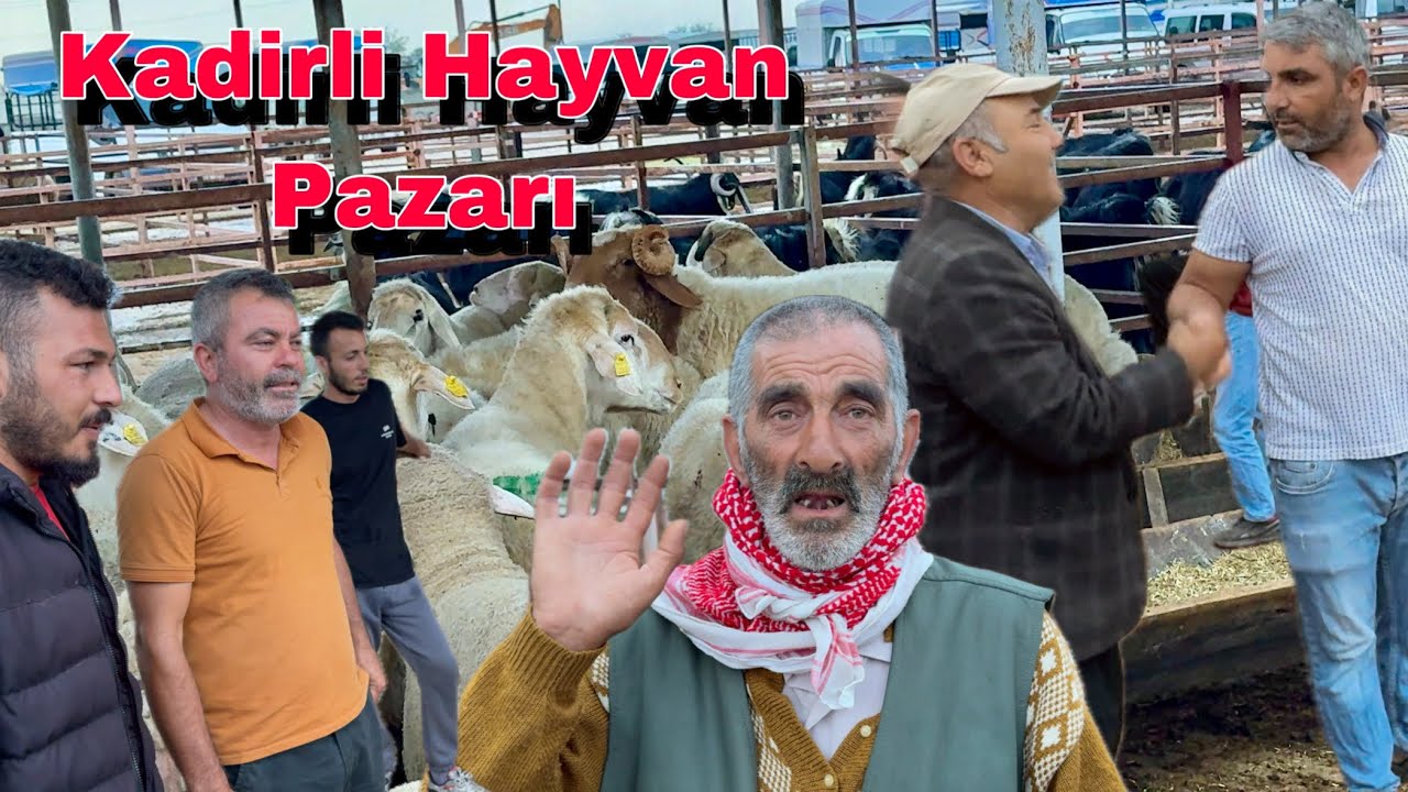 KADİRLİ KURBAN PAZARINDA FİYATLAR NE KADAR ?  2025 KURBANLIK FİYATLARI