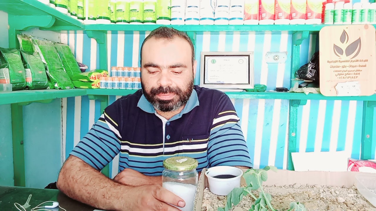 سماد سلفات النشادر وقابلية الخلط مع الاسمدة الكيماوية